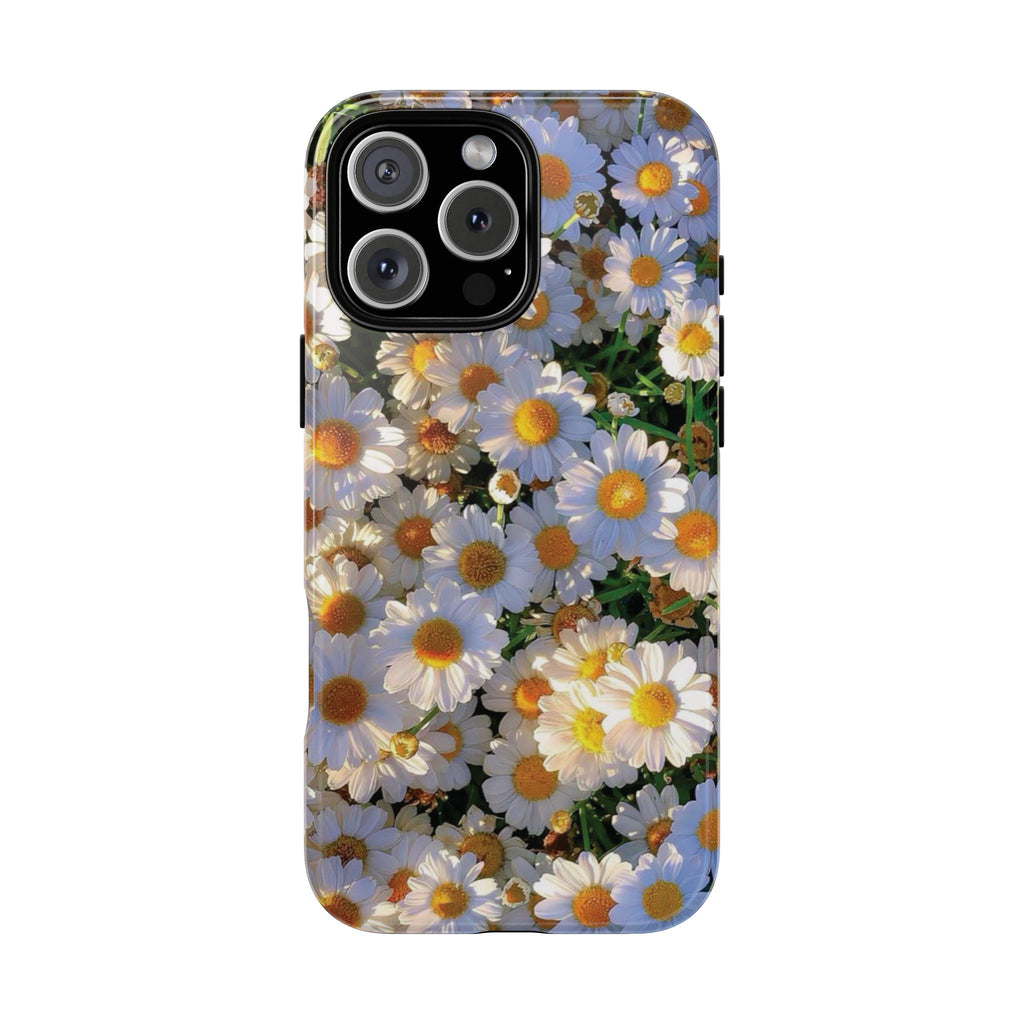 Daisy Drift